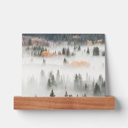 Dawn Ground Fog Covers Mountain Forest Picture Ledge