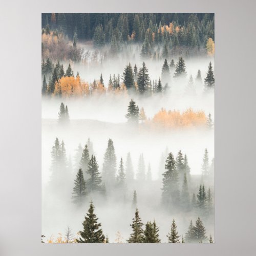 Dawn Ground Fog Covers Mountain Forest Poster