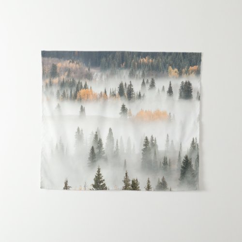 Dawn Ground Fog Covers Mountain Forest Tapestry