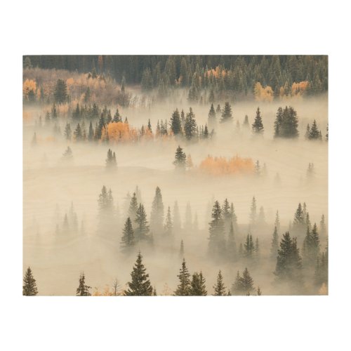 Dawn Ground Fog Covers Mountain Forest Wood Wall Art