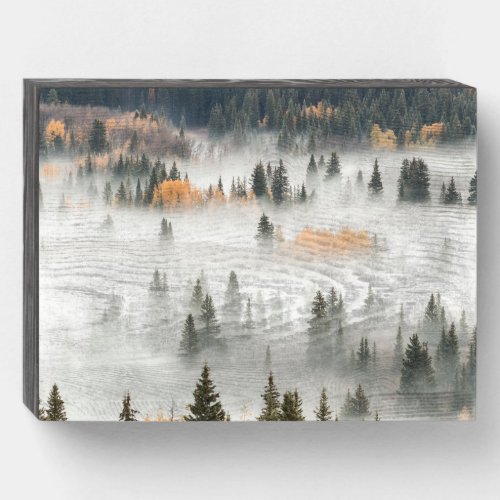Dawn Ground Fog Covers Mountain Forest Wooden Box Sign