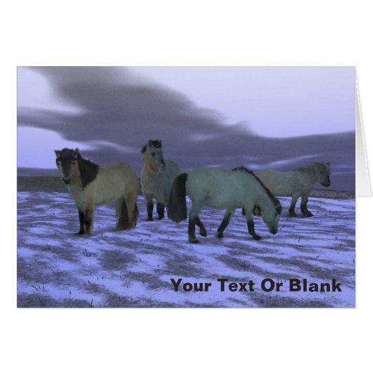 Dawn Horse Cards (Front Horizontal)
