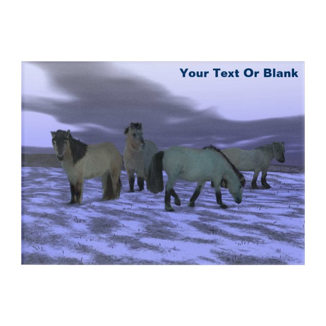 Dawn Horse - Yakutia Acrylic Print (Front)