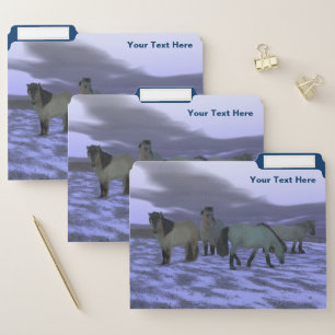 Dawn Horse - Yakutia File Folder