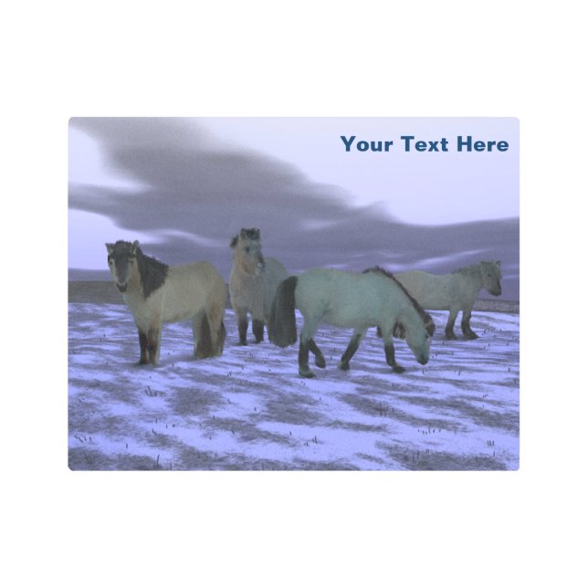 Dawn Horse - Yakutia Metal Print (Front)