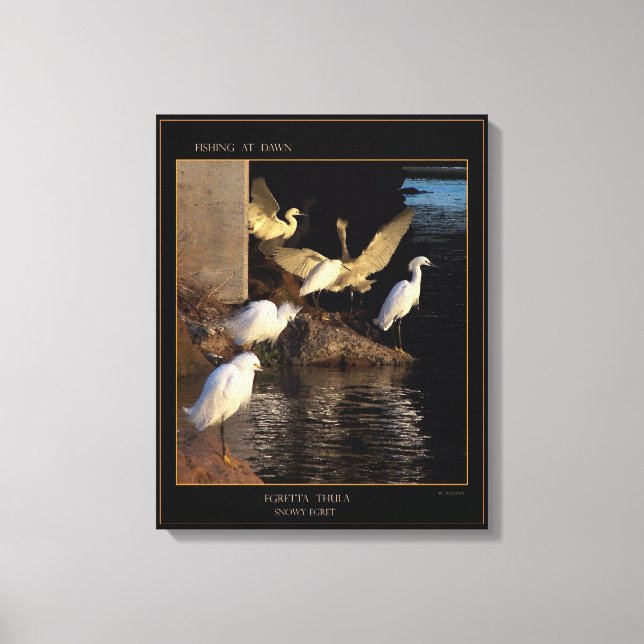 Dawn Snowy Egrets Wrapped Canvas Print (Front)