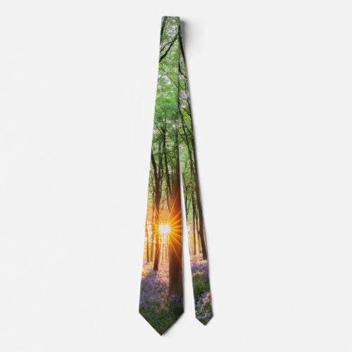 Dawn sunrise path in bluebell forest England Neck Tie