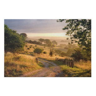 Dawn Sunshine   English Countryside Faux Canvas Print