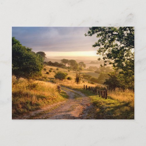Dawn Sunshine  English Countryside Postcard