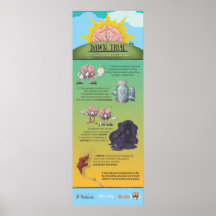 Dawn Trial Infographic