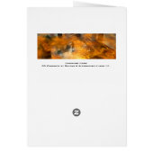 DAWNING DARK Temple of Water, Science Fiction Cards (Back)