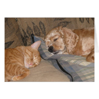 Dax and Chance Share Cards