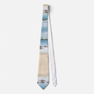 day at the beach-plain neck tie