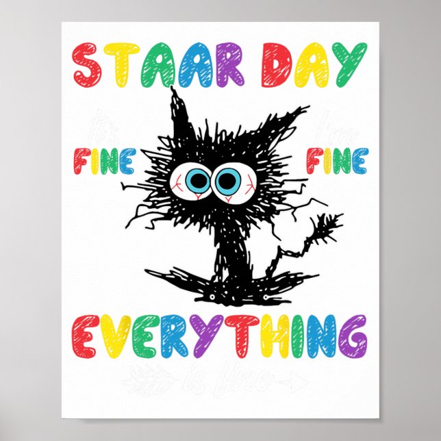 Day Black Cat Teacher Student Kids Staar Testing D Poster (Front)
