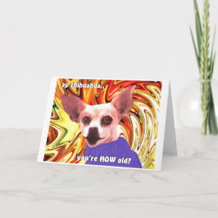 day chihuahua card