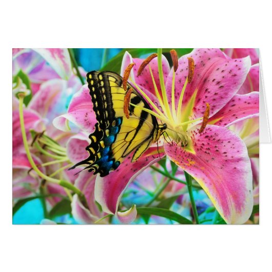 Day Dream ,  Forever Summer (CARD) (Front Horizontal)