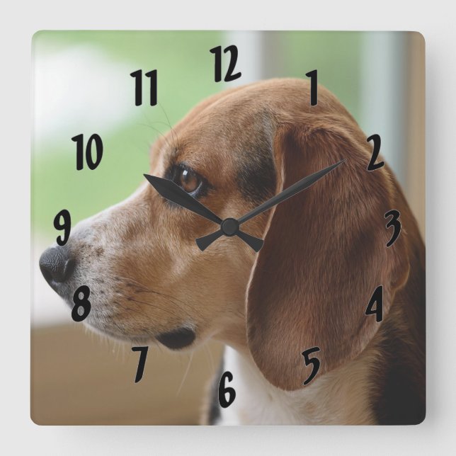Day Dreaming Beagle Square Wall Clock (Front)