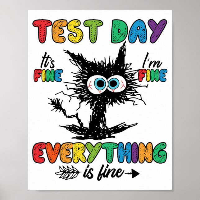Day Funny Stressed Cat Teacher Student Kids Testin Poster (Front)