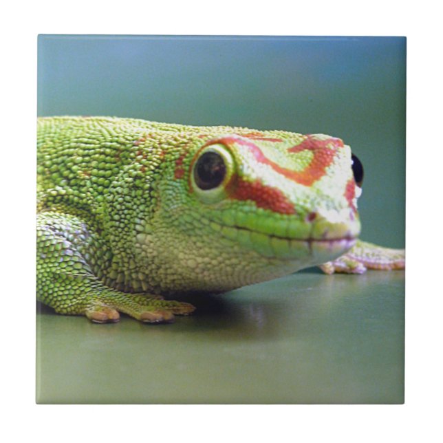 Day Gecko Ceramic Tile (Front)