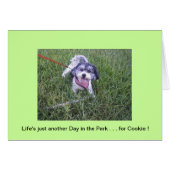 Day in the Park (Front Horizontal)