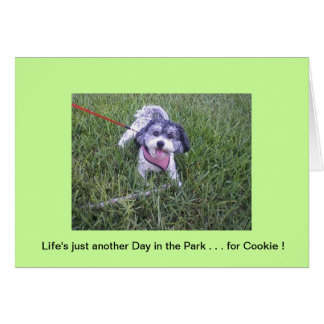 Day in the Park Cards