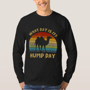 Day Is It Camel Hump Day T-Shirt