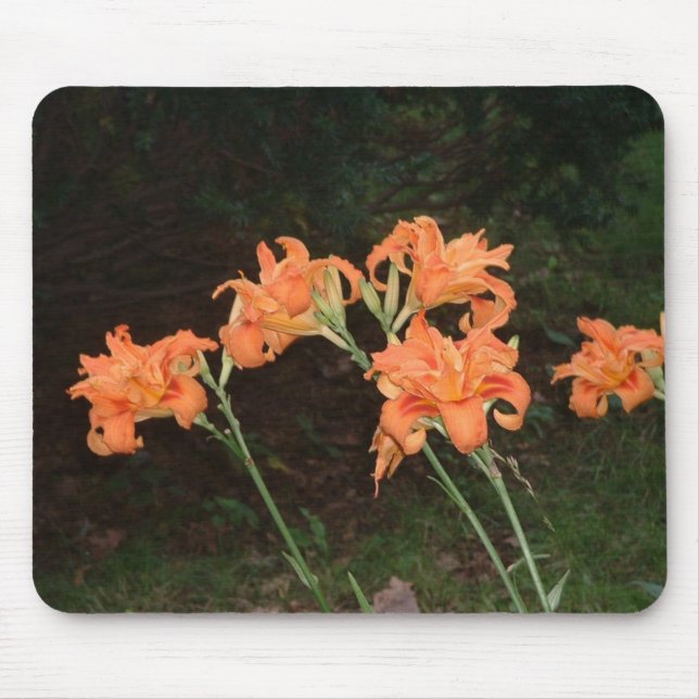 Day lilies mousepad (Front)