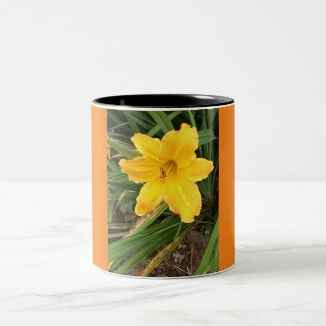 Day Lilly Cup (Center)