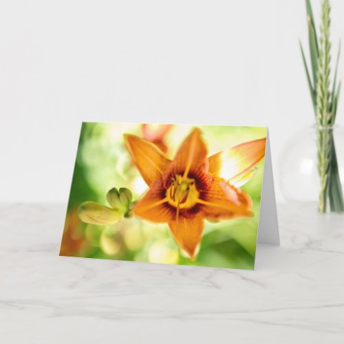 Day Lily Abstract Card