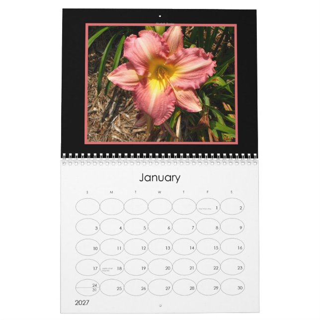 Day Lily Calendar 2008 (Jan 2027)