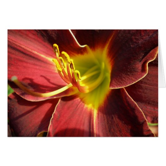 Day Lily - dark orange Cards (Front Horizontal)