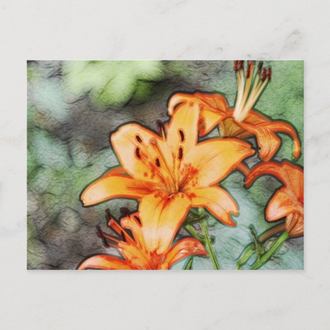 Day Lily's Postcard (Front)