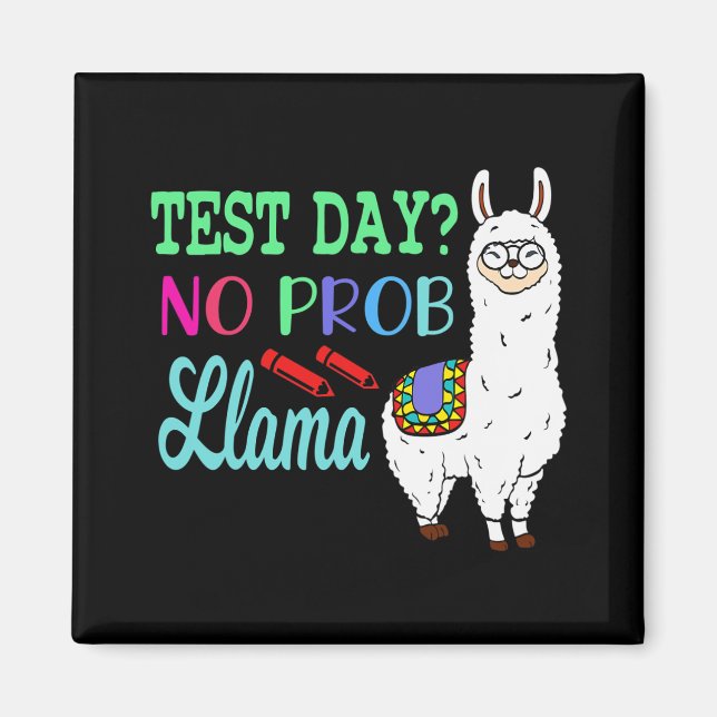 Day No Prob Llama Test Day No Probllama Test Day L Magnet (Front)
