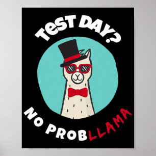 Day No Probllama Funny Testing Llama Design Poster