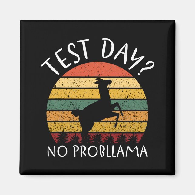 Day No Probllama State Testing Teacher Student Boy Magnet (Front)