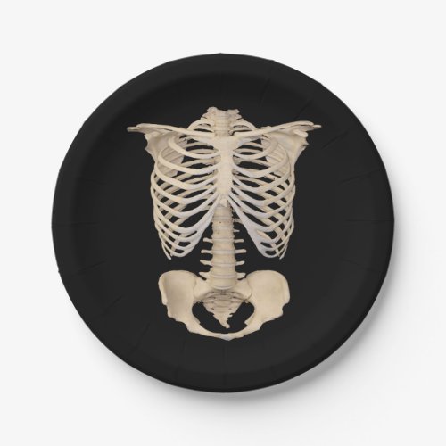 day of the dead Halloween Party Rib Cage Skeleton Paper Plates