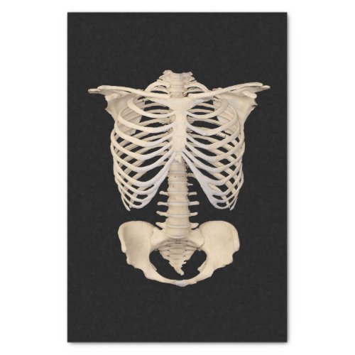 Day of The Dead Rib Cage Skeleton Halloween Party Tissue Paper
