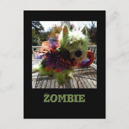 Day of the Zombie Westie Postcard
