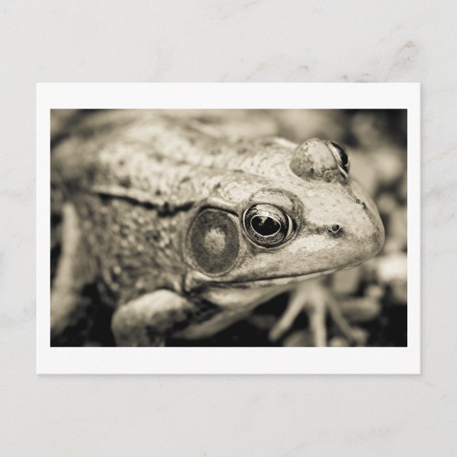 day simple wish postcard (Front)