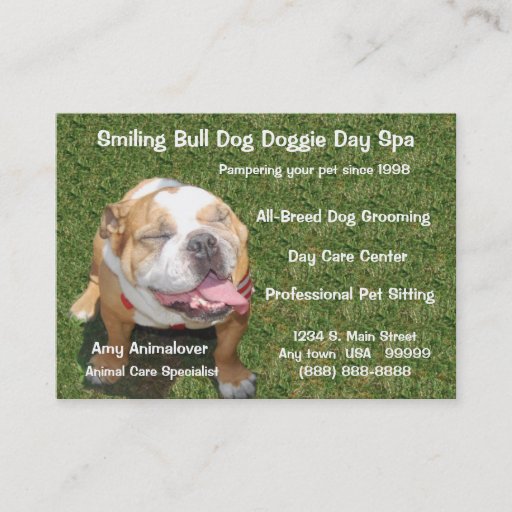 Customizable Day Spa And Appointment Card Business Card Templates