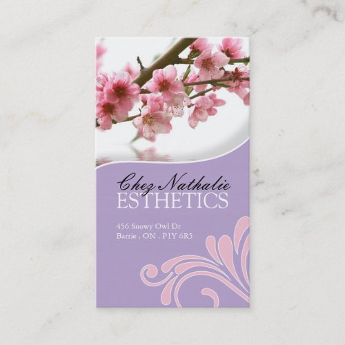 Day Spa and Salon Business Card