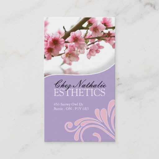 Customizable Day Spa and Salon Business Card