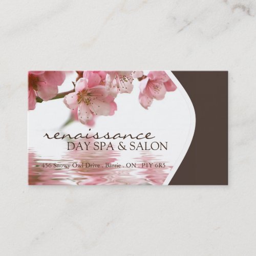 Day Spa and Salon Business Card