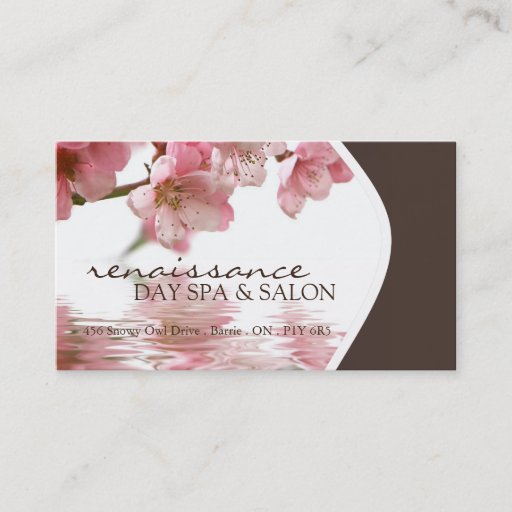 Customizable Day Spa and Salon Business Card