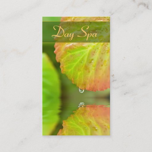 Customizable Day Spa Business Card
