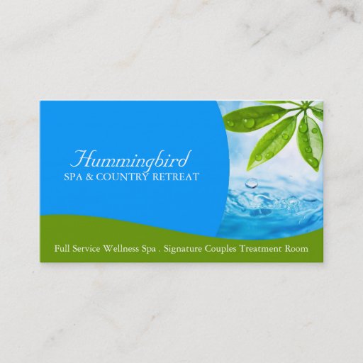 Customizable Day Spa Business Card