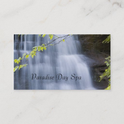 Customizable Day Spa Business Card