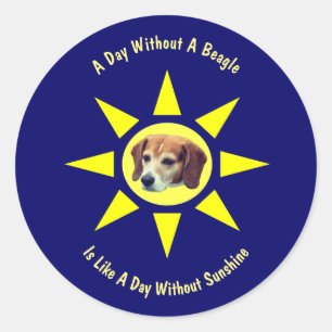 Day Without A Beagle Dog Lovers  Classic Round Sticker