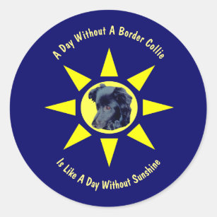 Day Without A Border Collie Dog Lovers  Classic Round Sticker