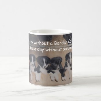 Day Without Border Collie Cute Coffee Mug by SmilinEyesTreasures at Zazzle